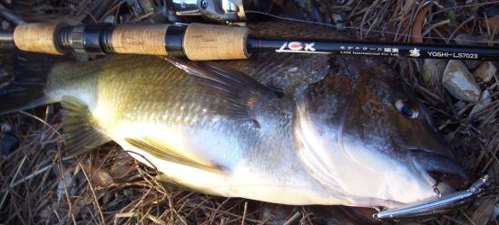 Fishing Ambassadors wanted